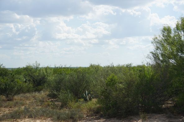 Ranch Land with Minerals: Ranch Rd 7918B, Laredo, TX 78046
